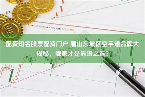 配资知名股票配资门户 眉山东坡区空手道品牌大揭秘，哪家才是靠谱之选？